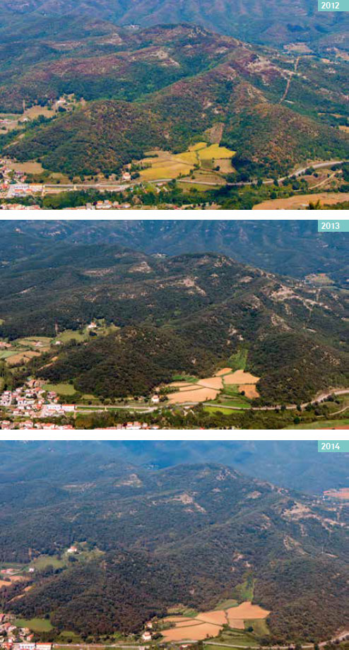 Panoràmica de la comarca de la Garrotxa amb les afectacions de roures i alzines els anys 2012, 2013 i 2014. El 2012 s'observen totes les parts altes dels turons de color marró-groc, amb afectacions greus de roures i alzines. El 2013 l'aspecte és de recuperació notable. Ara bé, si es mira de prop es veuen puntes seques. El 2014 presenta un aspecte molt semblant al 2013, amb una gran recuperació dels boscos.