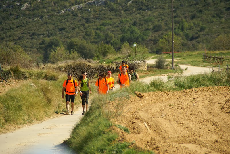 Feec Notícies - Caminada Molins-VilafrancaCaminada Molins-Vilafranca