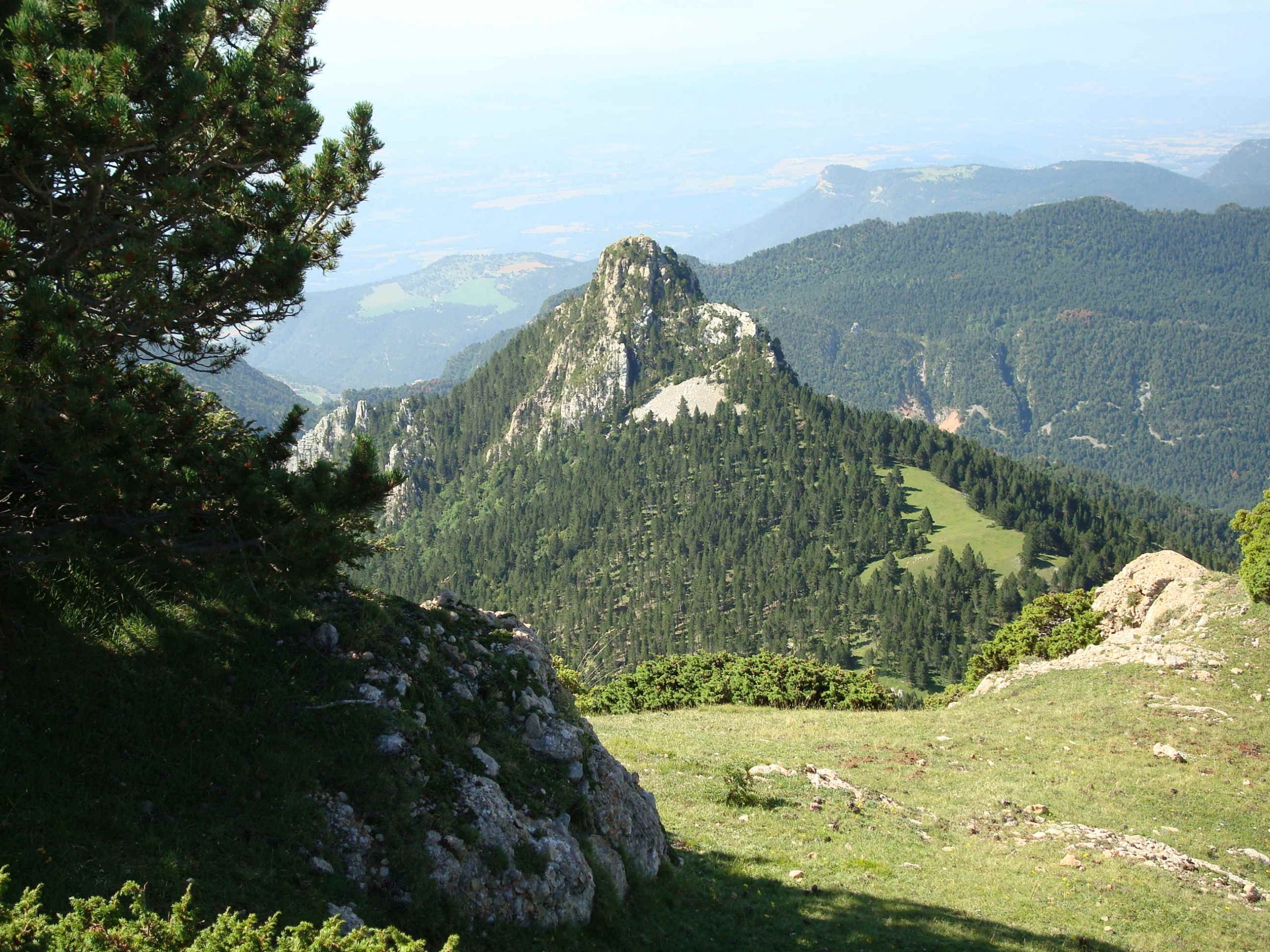 Cogulló d'Estela - FEEC - Federació d'Entitats Excursionistes de Catalunya