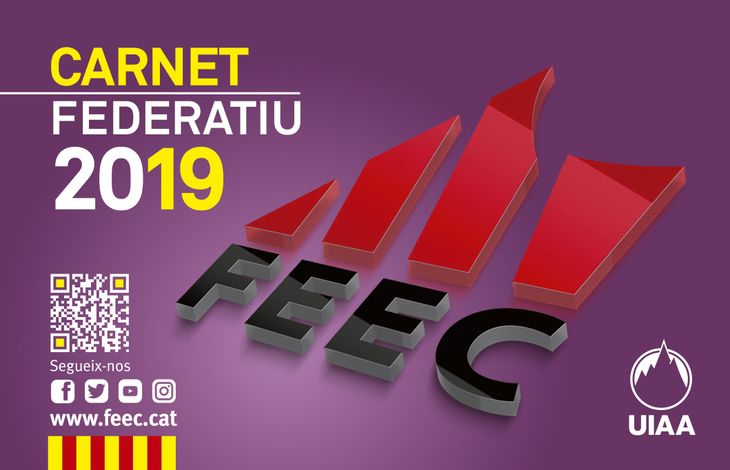 Feec Notícies -