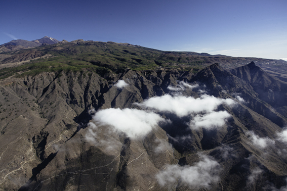 Feec Notícies - Tenerife Walking FestivalTenerife Walking Festival 2015