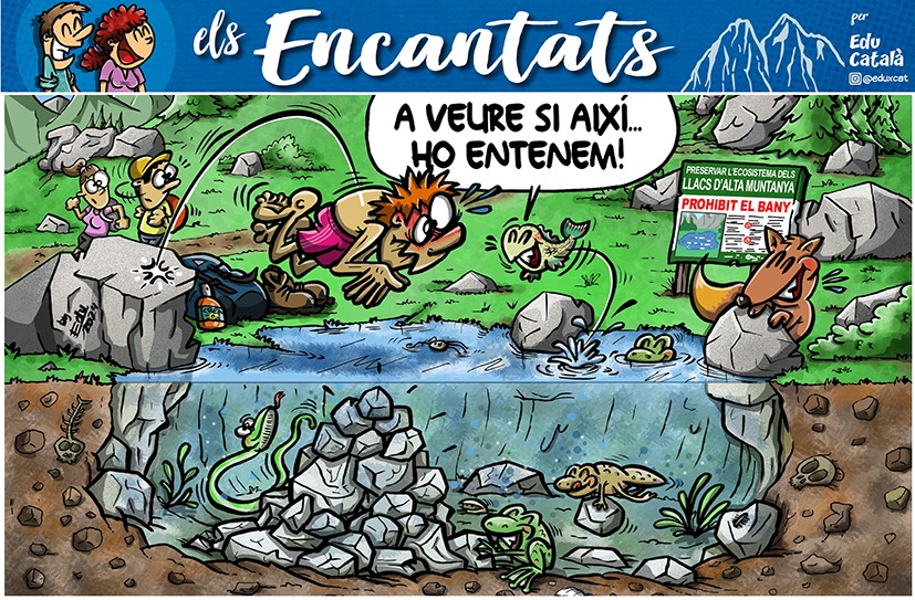 tira còmica on es veu una persona tirant-se a un llac de muntanya i la fauna de l'entorn fent-li la guitza. Imatge irònica sobre les males praxis a la muntanya